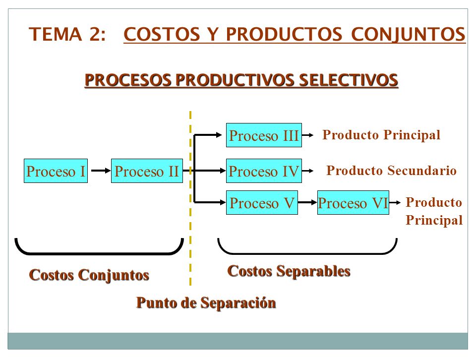 TEMA 2: COSTOS Y PRODUCTOS CONJUNTOS