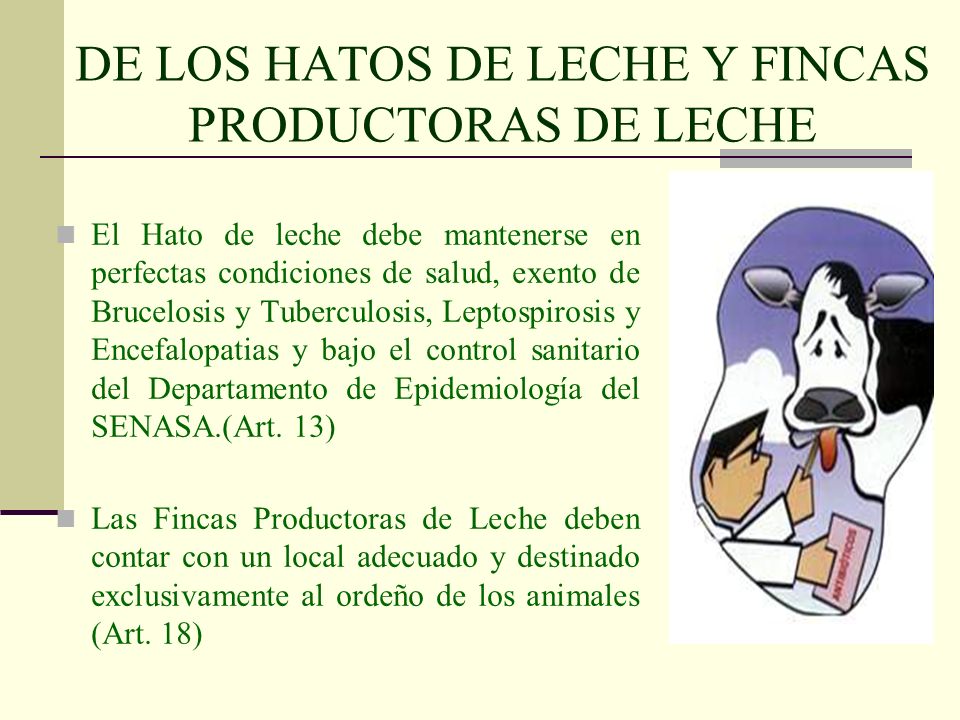 DE LOS HATOS DE LECHE Y FINCAS PRODUCTORAS DE LECHE