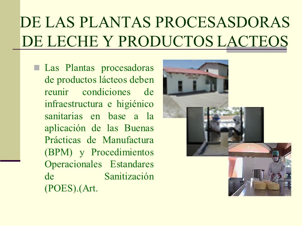 DE LAS PLANTAS PROCESASDORAS DE LECHE Y PRODUCTOS LACTEOS