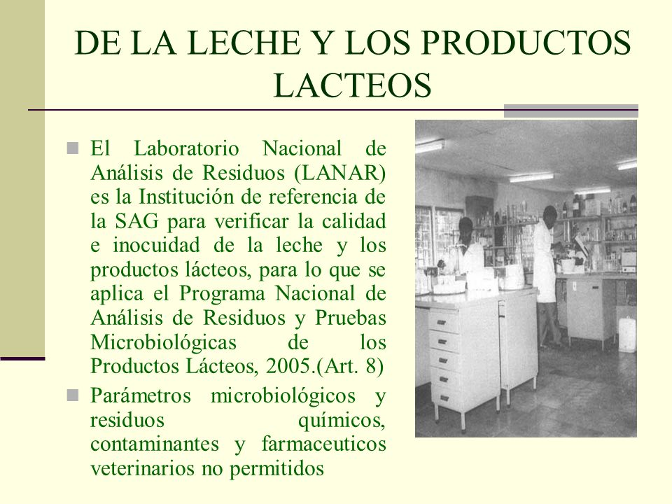 DE LA LECHE Y LOS PRODUCTOS LACTEOS