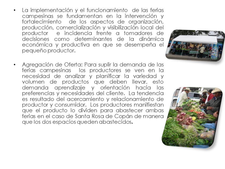 La implementación y el funcionamiento de las ferias campesinas se fundamentan en la intervención y fortalecimiento de los aspectos de organización, producción, comercialización y visibilización local del productor e incidencia frente a tomadores de decisiones como determinantes de la dinámica económica y productiva en que se desempeña el pequeño productor.