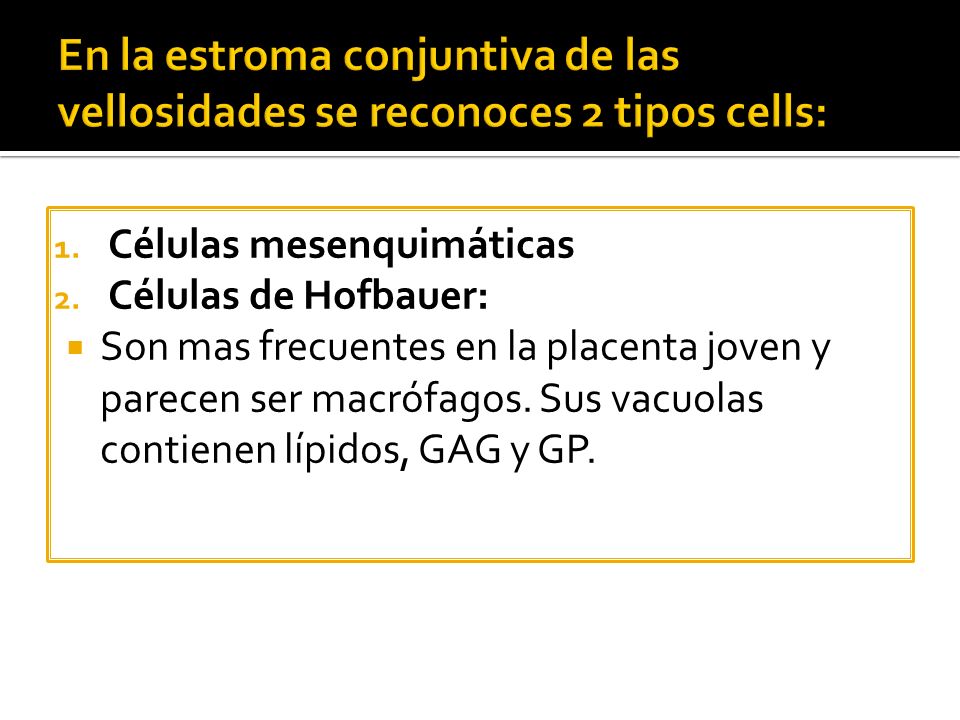 En la estroma conjuntiva de las vellosidades se reconoces 2 tipos cells: