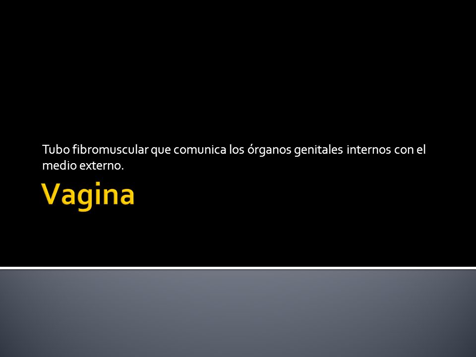 Tubo fibromuscular que comunica los órganos genitales internos con el medio externo.