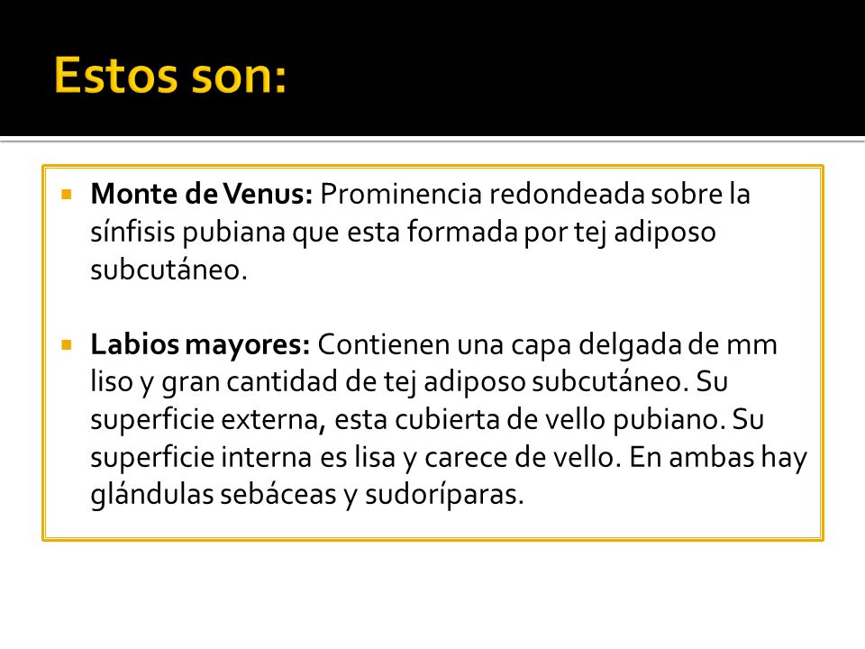 Estos son: Monte de Venus: Prominencia redondeada sobre la sínfisis pubiana que esta formada por tej adiposo subcutáneo.