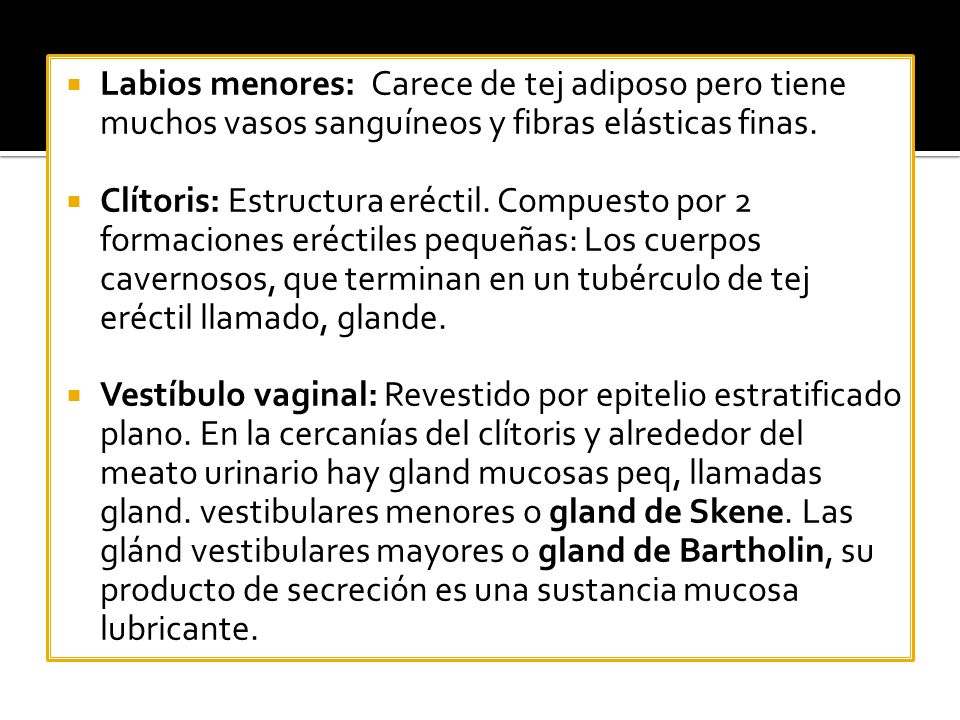Labios menores: Carece de tej adiposo pero tiene muchos vasos sanguíneos y fibras elásticas finas.