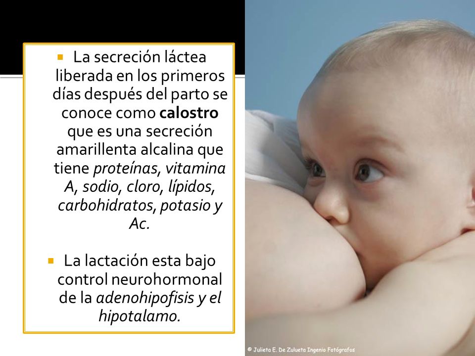 La secreción láctea liberada en los primeros días después del parto se conoce como calostro que es una secreción amarillenta alcalina que tiene proteínas, vitamina A, sodio, cloro, lípidos, carbohidratos, potasio y Ac.