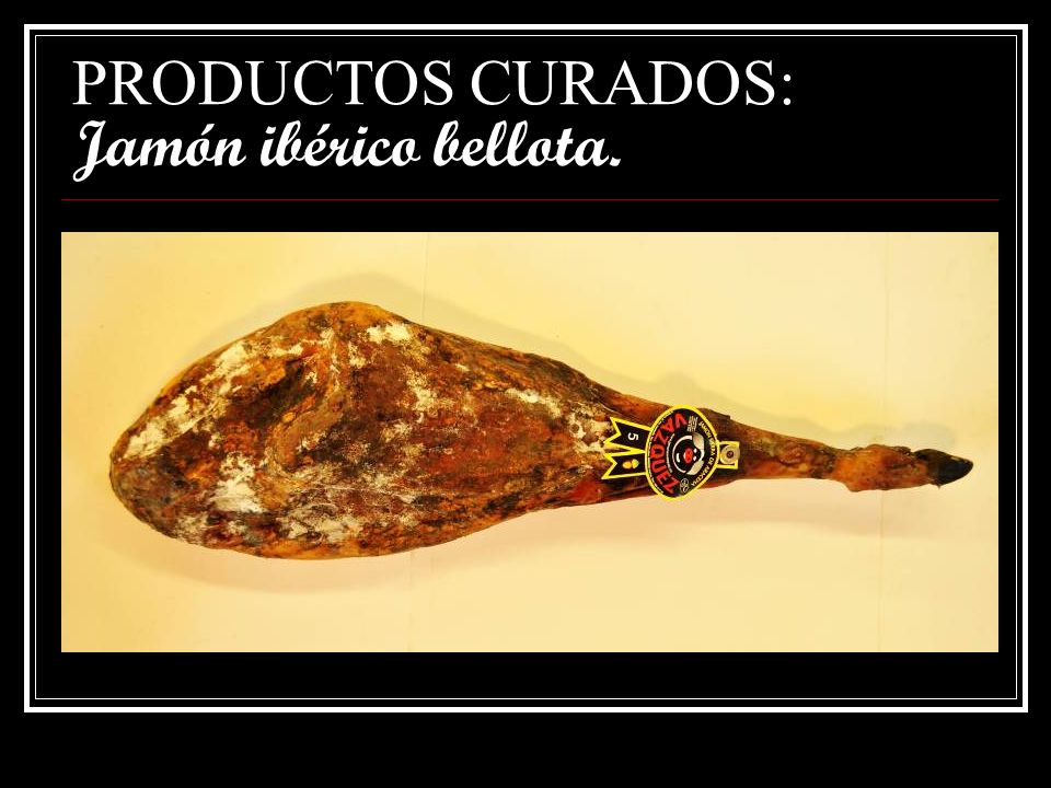 PRODUCTOS CURADOS: Jamón ibérico bellota.