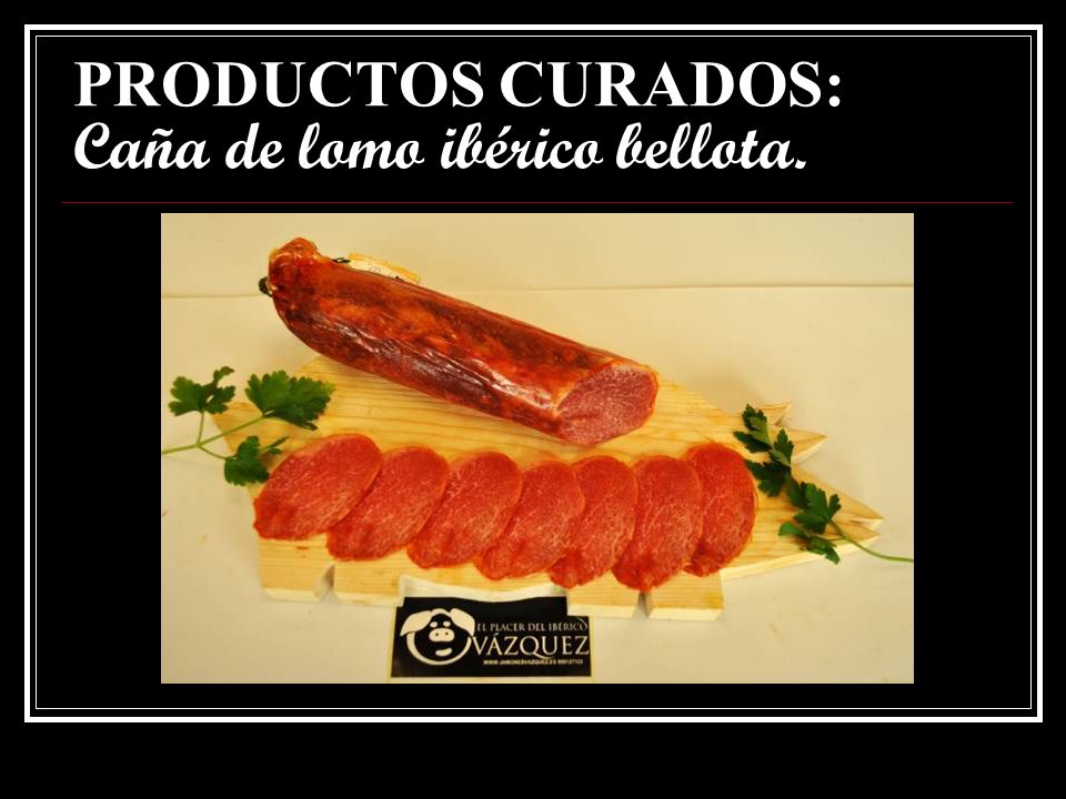 PRODUCTOS CURADOS: Caña de lomo ibérico bellota.