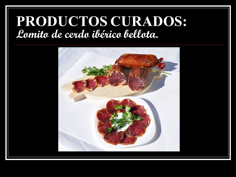 PRODUCTOS CURADOS: Lomito de cerdo ibérico bellota.
