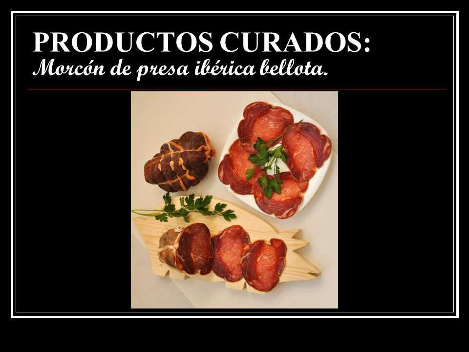 PRODUCTOS CURADOS: Morcón de presa ibérica bellota.