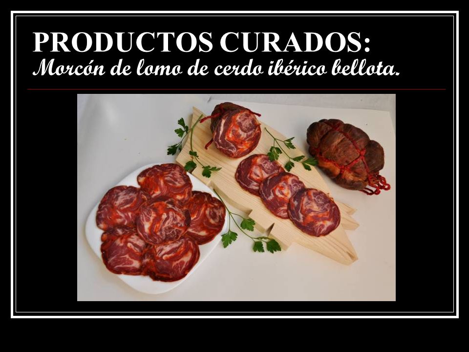 PRODUCTOS CURADOS: Morcón de lomo de cerdo ibérico bellota.