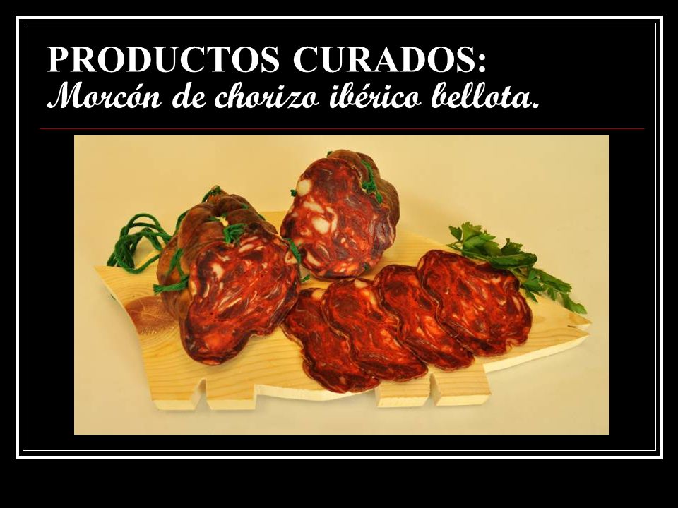 PRODUCTOS CURADOS: Morcón de chorizo ibérico bellota.