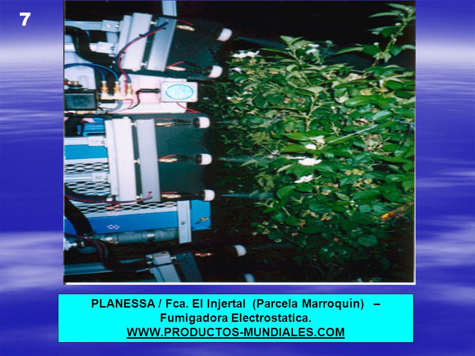7 PLANESSA / Fca. El Injertal (Parcela Marroquín) – Fumigadora Electrostatica.