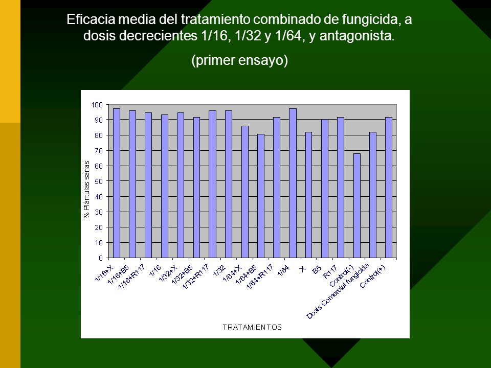 Eficacia media del tratamiento combinado de fungicida, a dosis decrecientes 1/16, 1/32 y 1/64, y antagonista.