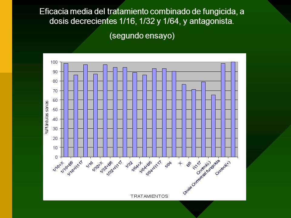 Eficacia media del tratamiento combinado de fungicida, a dosis decrecientes 1/16, 1/32 y 1/64, y antagonista.