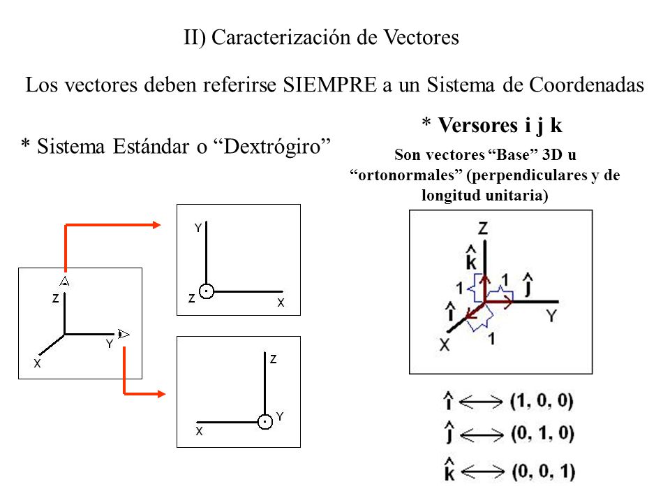 II) Caracterización de Vectores