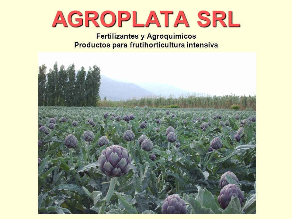 AGROPLATA SRL Fertilizantes y Agroquímicos Productos para frutihorticultura intensiva