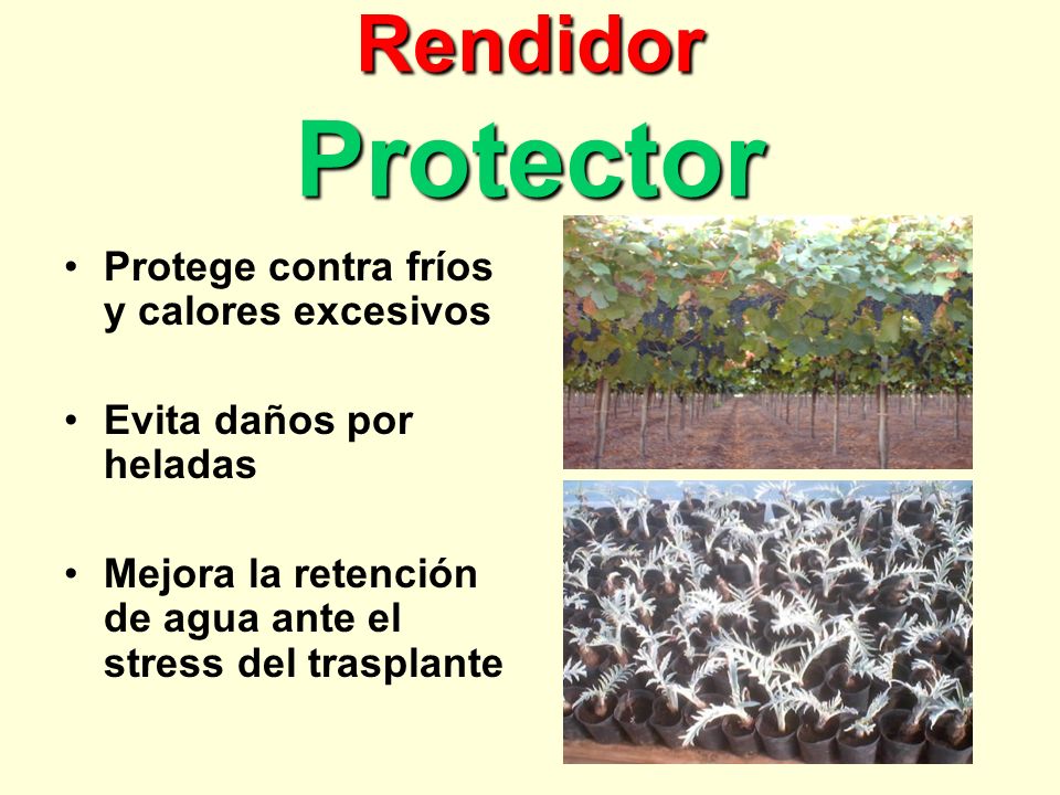 Rendidor Protector Protege contra fríos y calores excesivos