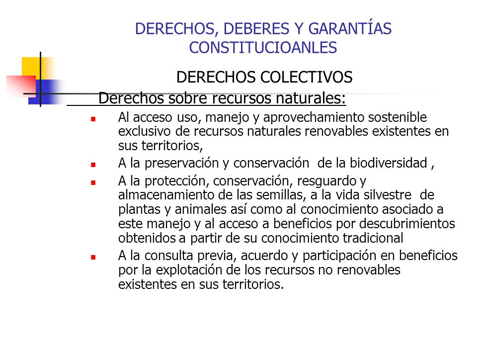 DERECHOS, DEBERES Y GARANTÍAS CONSTITUCIOANLES