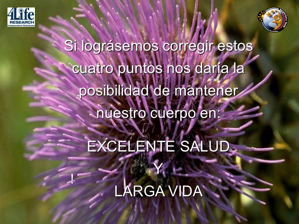 Si lográsemos corregir estos cuatro puntos nos daría la