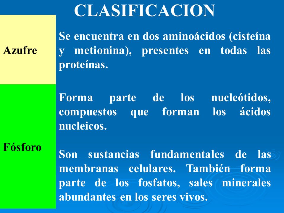CLASIFICACION Azufre. Se encuentra en dos aminoácidos (cisteína y metionina), presentes en todas las proteínas.