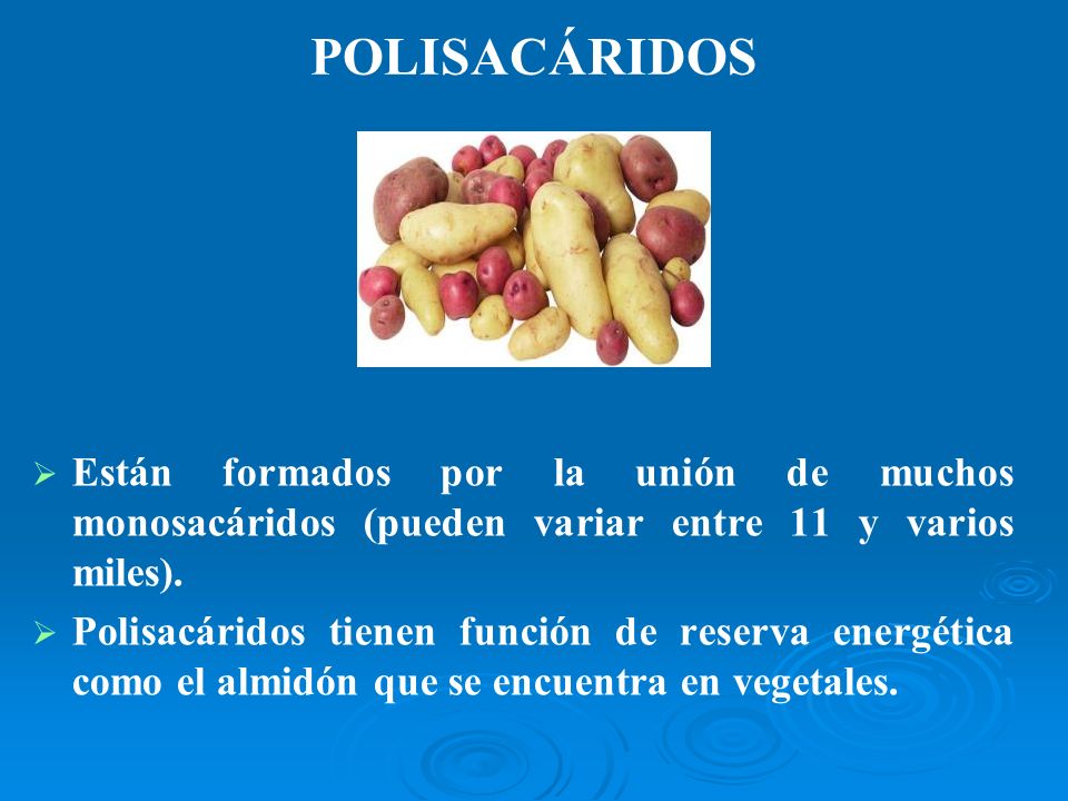 POLISACÁRIDOS Están formados por la unión de muchos monosacáridos (pueden variar entre 11 y varios miles).