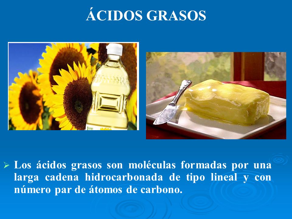 ÁCIDOS GRASOS Los ácidos grasos son moléculas formadas por una larga cadena hidrocarbonada de tipo lineal y con número par de átomos de carbono.