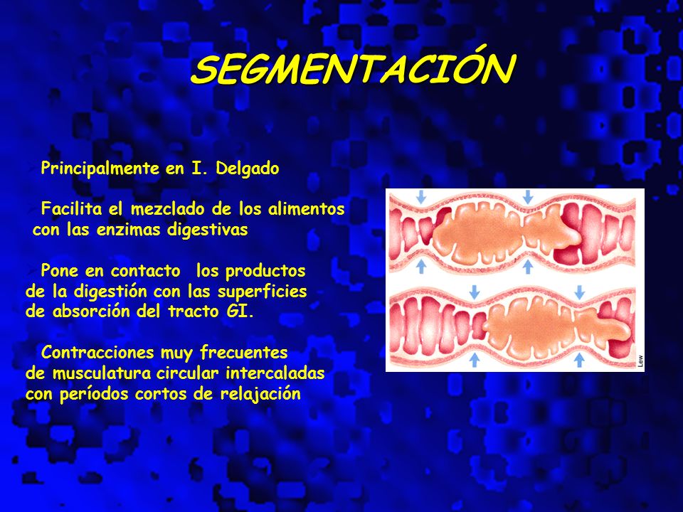 SEGMENTACIÓN Principalmente en I. Delgado