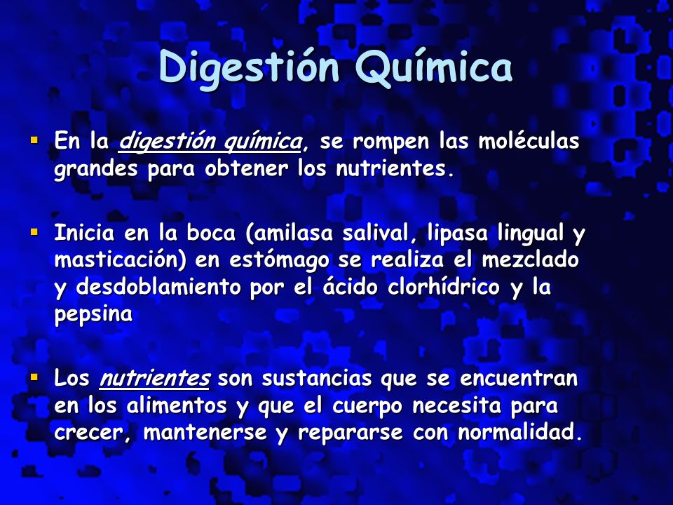 Digestión Química En la digestión química, se rompen las moléculas grandes para obtener los nutrientes.