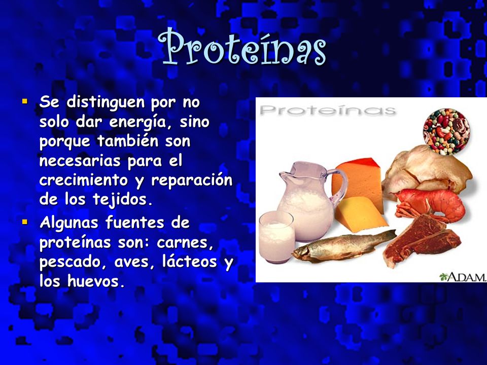 Proteínas Se distinguen por no solo dar energía, sino porque también son necesarias para el crecimiento y reparación de los tejidos.