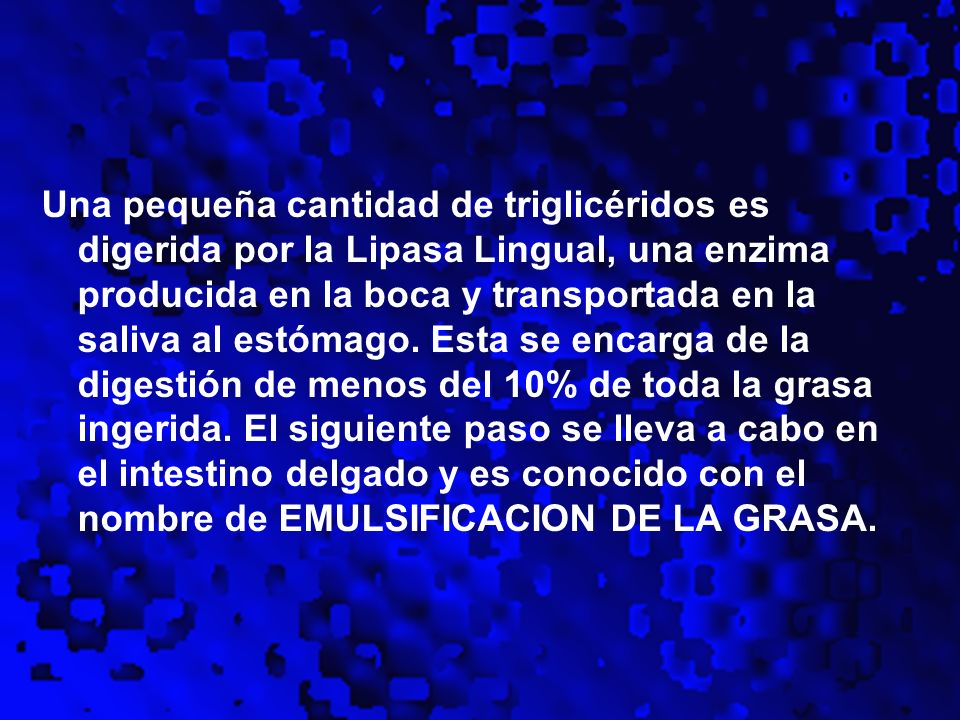 Una pequeña cantidad de triglicéridos es digerida por la Lipasa Lingual, una enzima producida en la boca y transportada en la saliva al estómago.