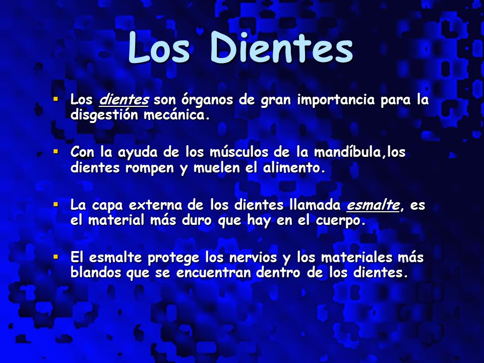 Los Dientes Los dientes son órganos de gran importancia para la disgestión mecánica.