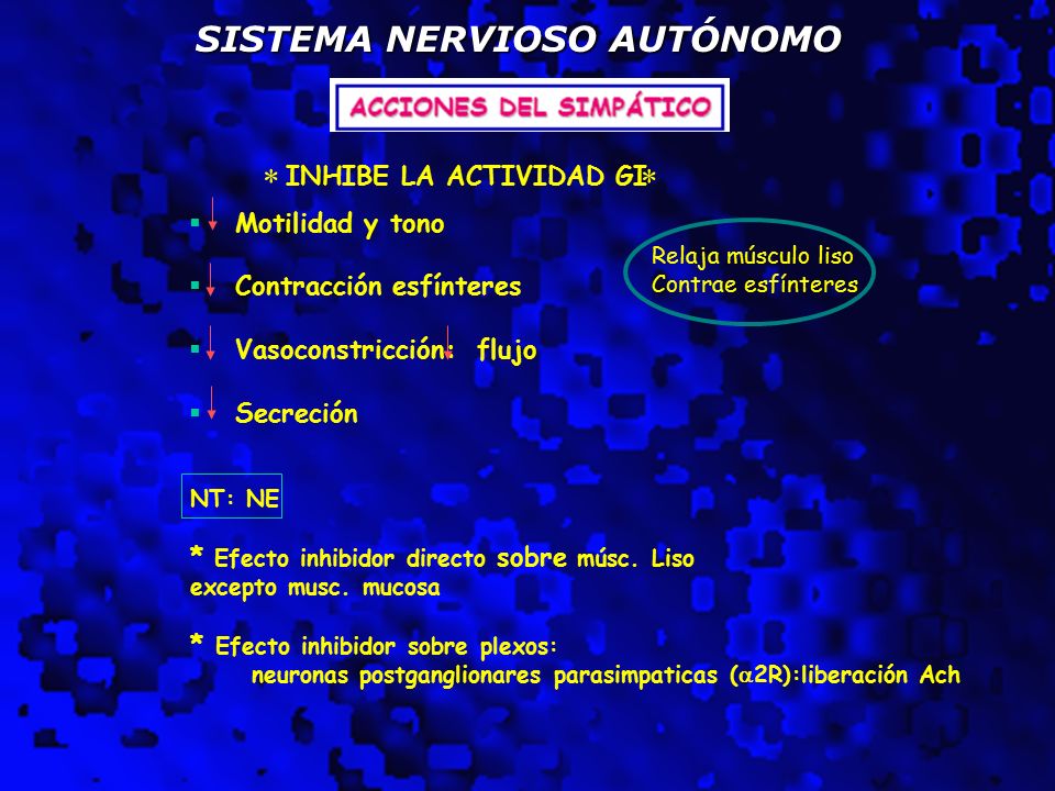 * * SISTEMA NERVIOSO AUTÓNOMO INHIBE LA ACTIVIDAD GI Motilidad y tono