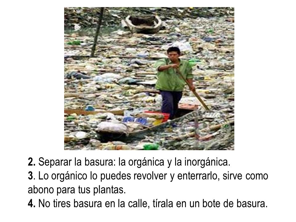 2. Separar la basura: la orgánica y la inorgánica.