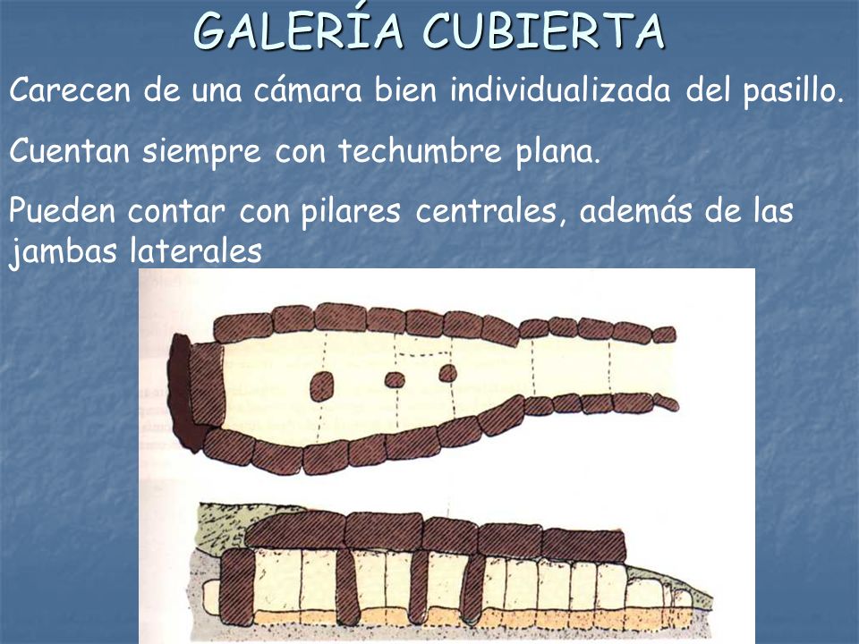 GALERÍA CUBIERTA Carecen de una cámara bien individualizada del pasillo. Cuentan siempre con techumbre plana.