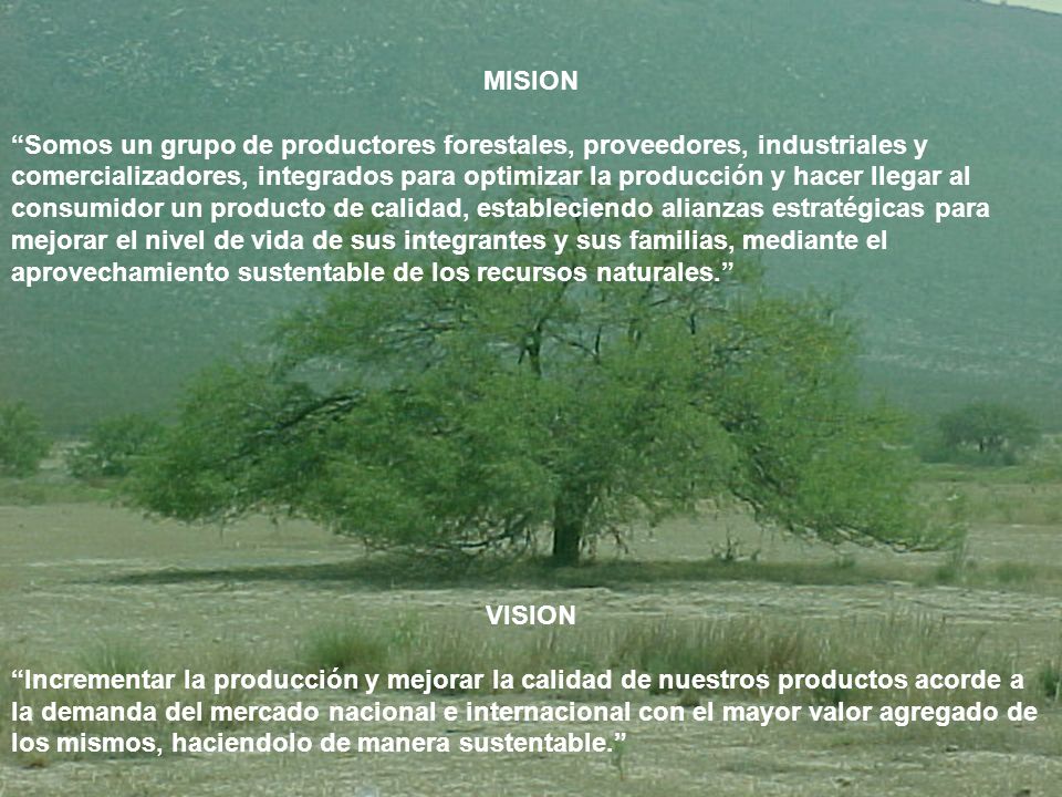 MISION