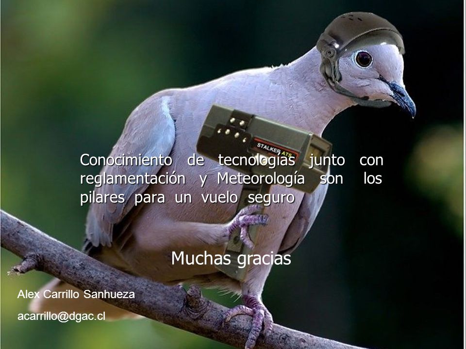 Conocimiento de tecnologías junto con reglamentación y Meteorología son los pilares para un vuelo seguro