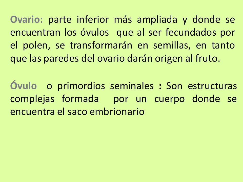 Ovario: parte inferior más ampliada y donde se encuentran los óvulos que al ser fecundados por el polen, se transformarán en semillas, en tanto que las paredes del ovario darán origen al fruto.