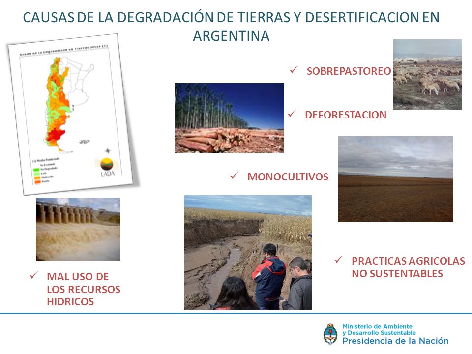 CAUSAS DE LA DEGRADACIÓN DE TIERRAS Y DESERTIFICACION EN ARGENTINA