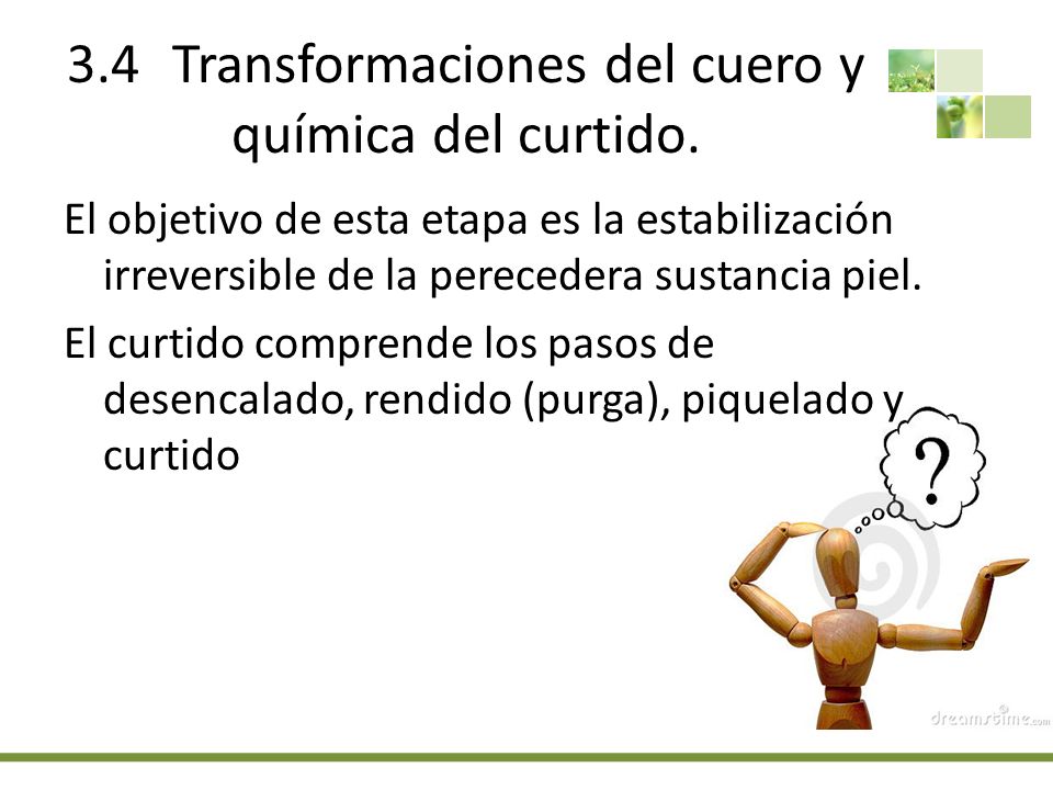 3.4 Transformaciones del cuero y química del curtido.