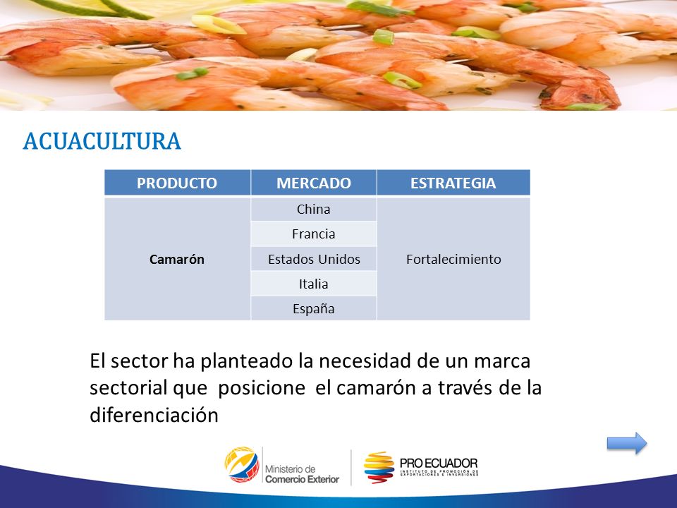 ACUACULTURA PRODUCTO. MERCADO. ESTRATEGIA. Camarón. China. Fortalecimiento. Francia. Estados Unidos.
