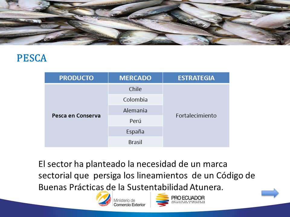 PESCA PRODUCTO. MERCADO. ESTRATEGIA. Pesca en Conserva. Chile. Fortalecimiento. Colombia. Alemania.