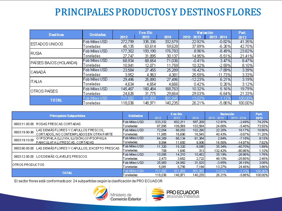 PRINCIPALES PRODUCTOS Y DESTINOS FLORES