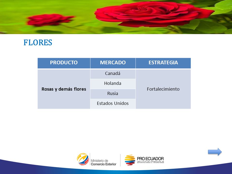 FLORES PRODUCTO MERCADO ESTRATEGIA Rosas y demás flores Canadá