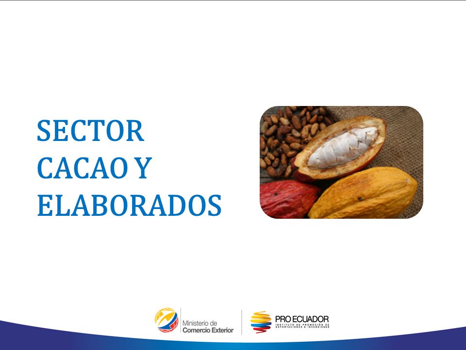 SECTOR CACAO Y ELABORADOS