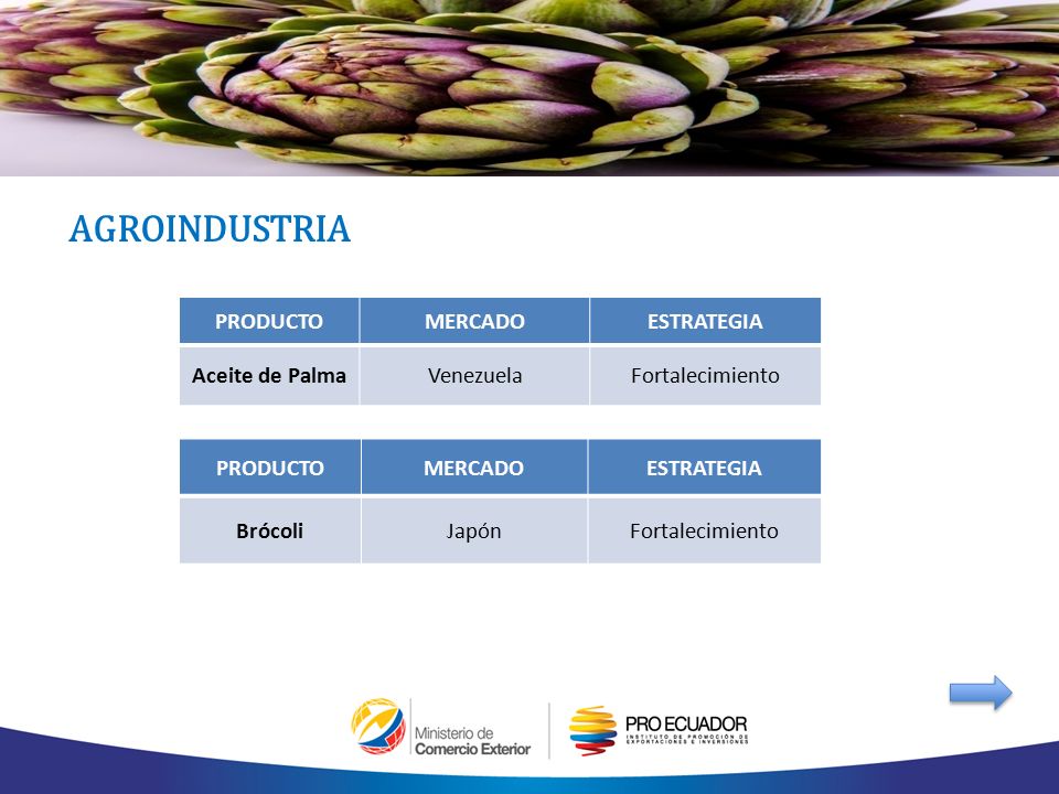 AGROINDUSTRIA PRODUCTO MERCADO ESTRATEGIA Aceite de Palma Venezuela