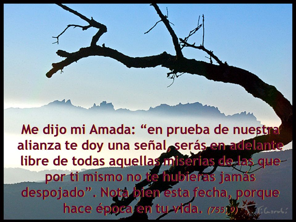 Me dijo mi Amada: en prueba de nuestra alianza te doy una señal, serás en adelante libre de todas aquellas miserias de las que por ti mismo no te hubieras jamás despojado .