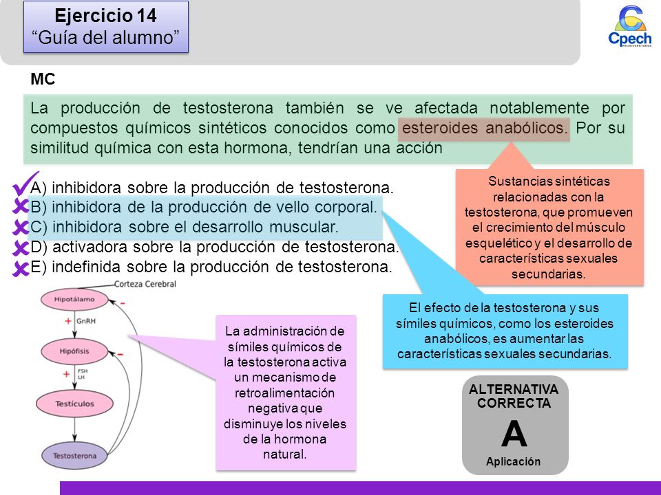      A Ejercicio 14 Guía del alumno MC