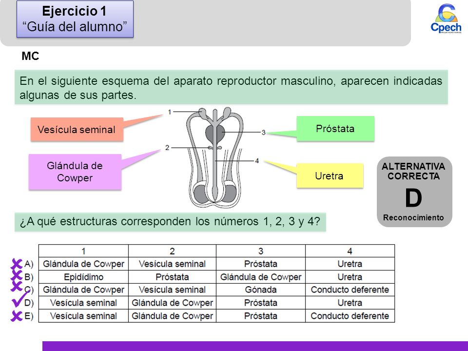  D     Ejercicio 1 Guía del alumno MC