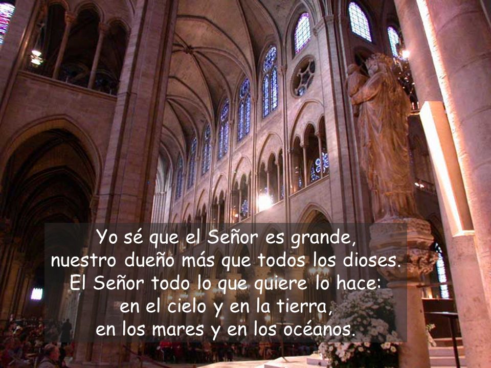 Yo sé que el Señor es grande, nuestro dueño más que todos los dioses
